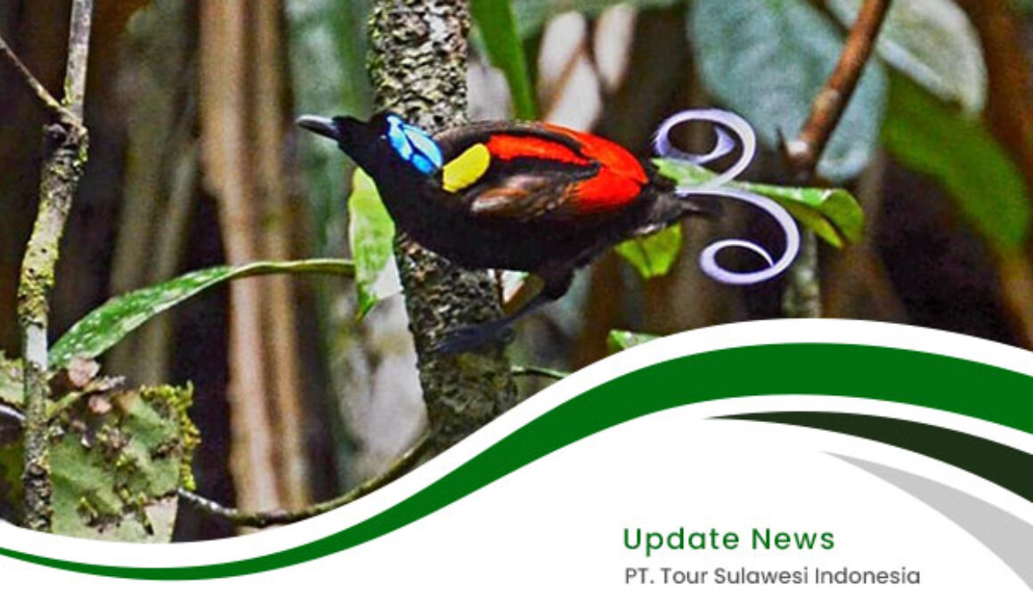 Embrace-the-Enchantment-of-West-Papua-rev