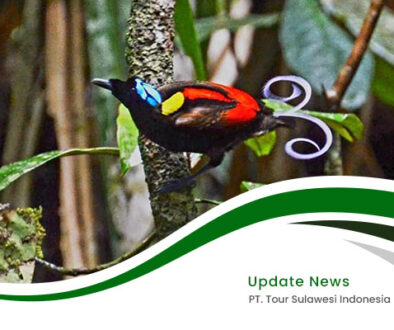 Embrace-the-Enchantment-of-West-Papua-rev