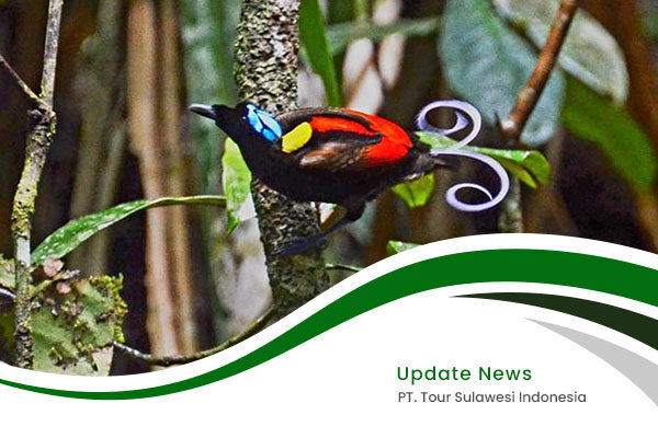 Embrace-the-Enchantment-of-West-Papua-rev