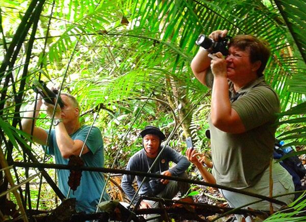 indonesia birding tour - gallery (14)