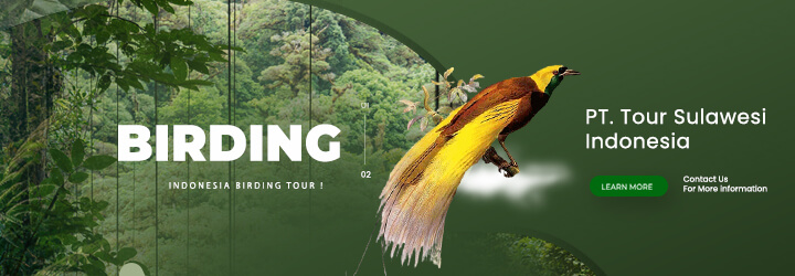 indonesia birding tour - mob(1)