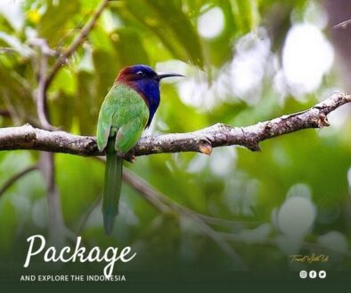 Lore Lindu National Park (2)