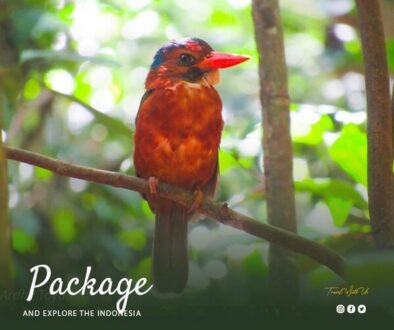 Tangkoko Park & Gunung Mahawu 5D 4N