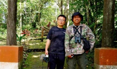 indonesia birding Tour gallery (4) indonesia birding Tour gallery (4)