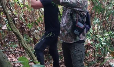 indonesia birding Tour gallery (6) indonesia birding Tour gallery (6)