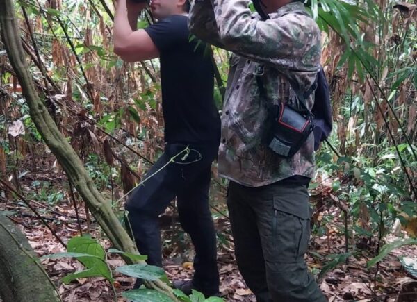 indonesia birding Tour gallery (6)